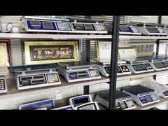 Весочная платформа WALL-E из нержавеющей стали Весочная шкала для грузовиков