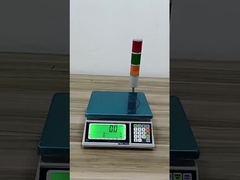 Подгонянный цифровой веся масштаб